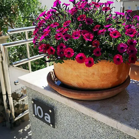 Argola Apartments *