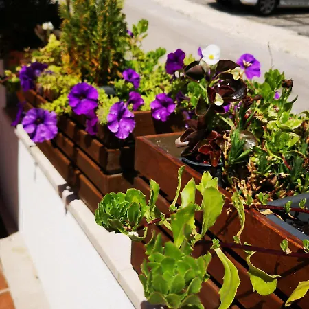 Argola Apartment, Trogir Apartment *
